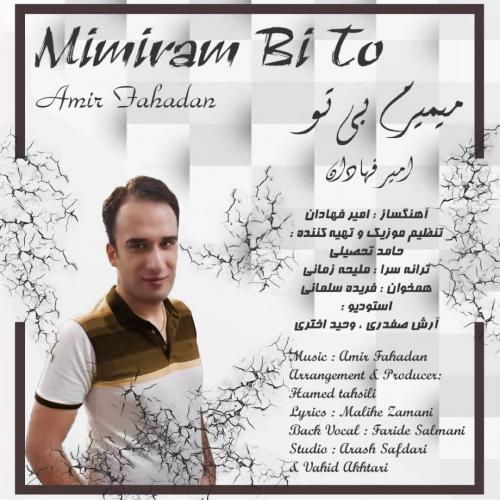 دانلود آهنگ میمیرم بی تو امیر فهادان